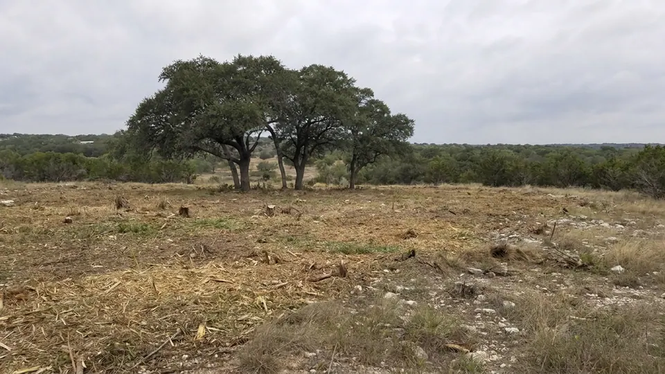 Forestry mulching and land clearing in Decatur & Wise County
