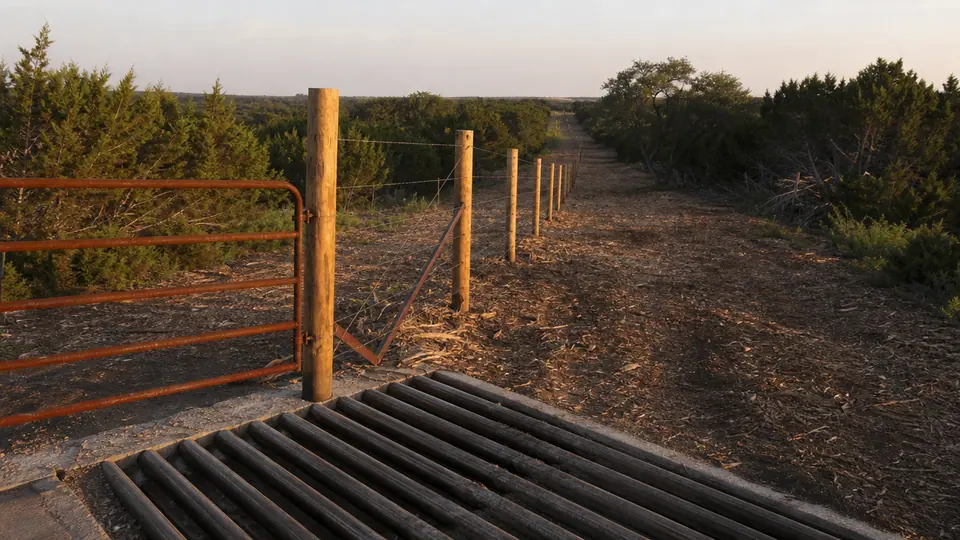 Clean ranch fence line with brush cleared on both sides and a cattle guard in the foreground